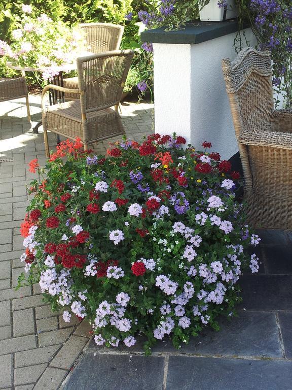 Bed and Breakfast De Witte Molen Kranenburg Kranenburg  Exterior foto