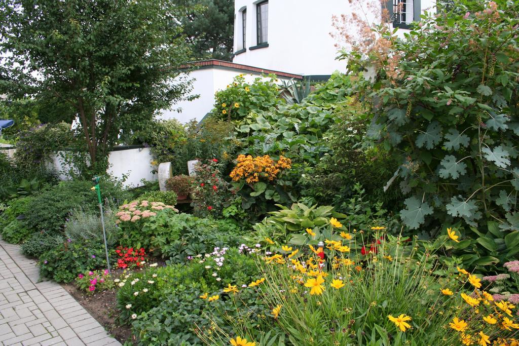 Bed and Breakfast De Witte Molen Kranenburg Kranenburg  Exterior foto